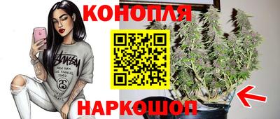 дмт Будённовск