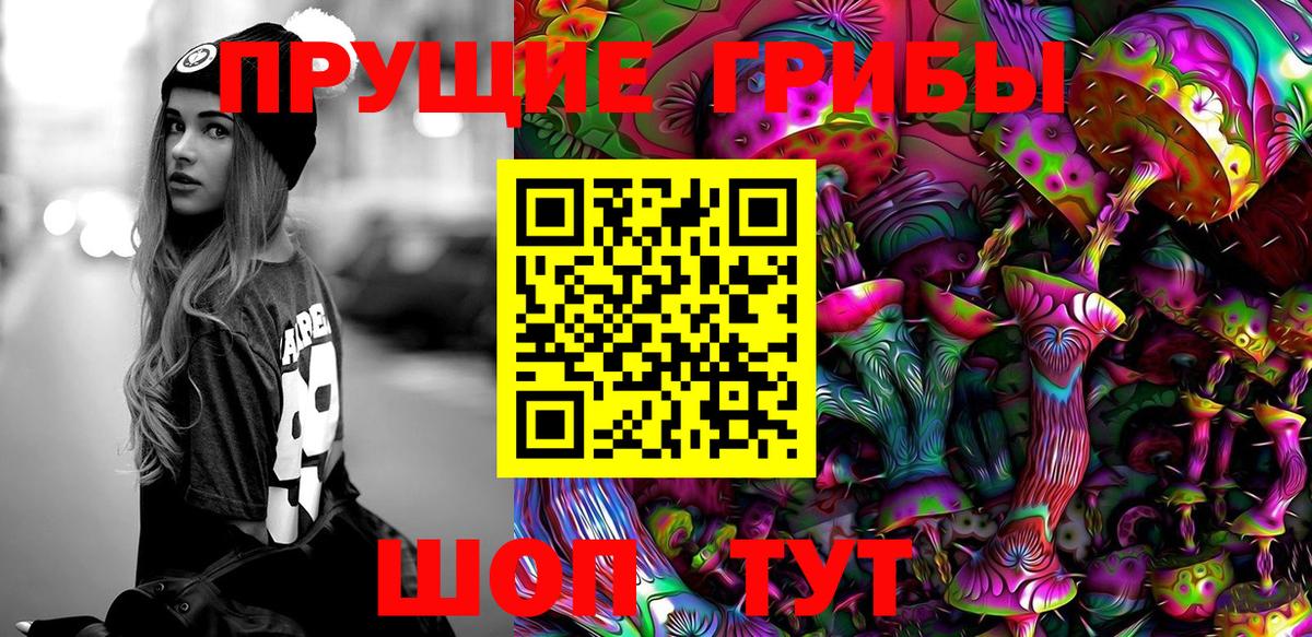 закладка  Вход с VPN  Курчатов  Псилоцибиновые грибы MAGIC MUSHROOMS 